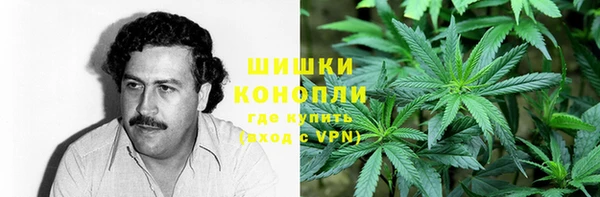 прущие грибы Медвежьегорск