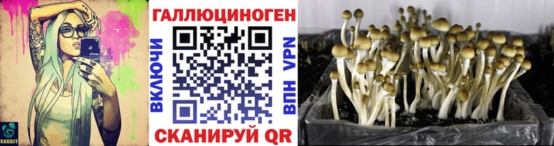 Псилоцибиновые грибы ЛСД Печоры